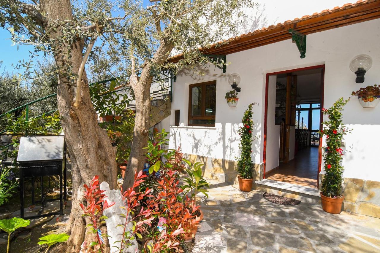 Amore Rentals - Casa Tatano Marciano Kültér fotó