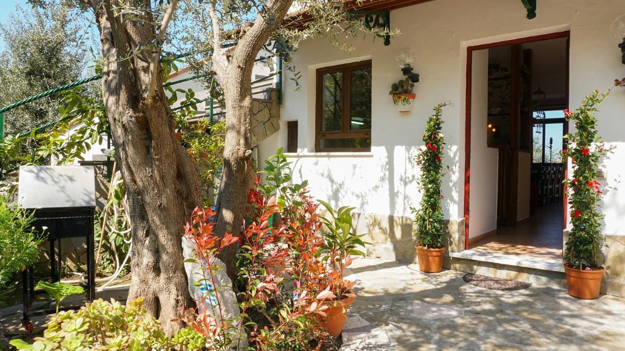 Amore Rentals - Casa Tatano Marciano Kültér fotó