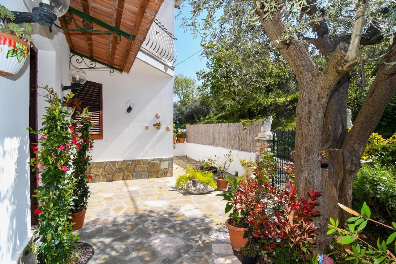 Amore Rentals - Casa Tatano Marciano Kültér fotó